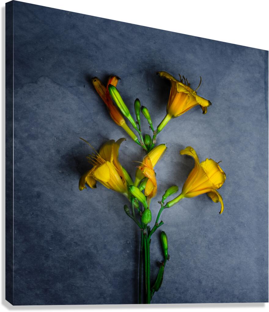 IMG 5445 3 Canvas Print