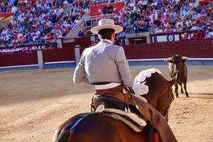 Solo ante el peligro