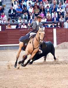 Lea Vicens Madrid 2025 7