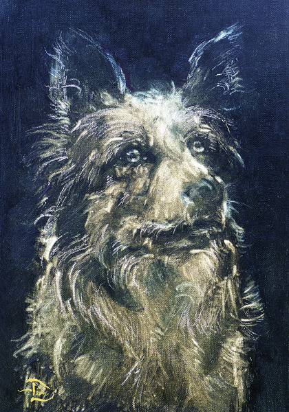 61. Lowell Devin Best in Show Dog Show Art: Legendary Blue Merle Moonstone by Lowell Phoenix Devin