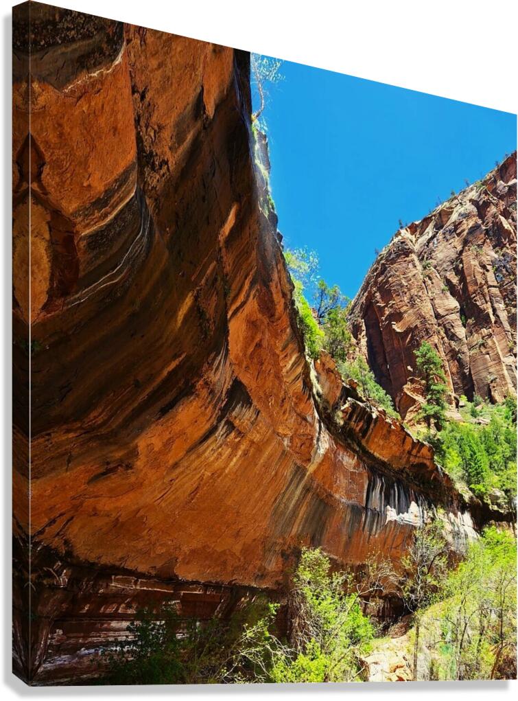 Mountain Dip Canvas Print