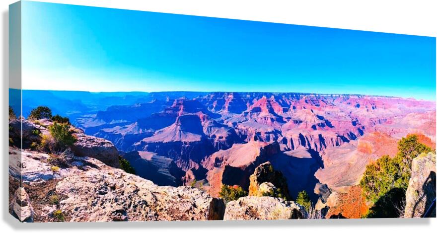 PinkMaze Canvas Print