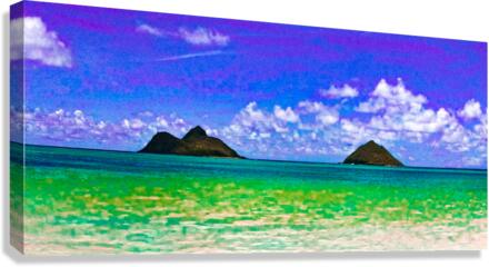 Twin Blurs Canvas Print