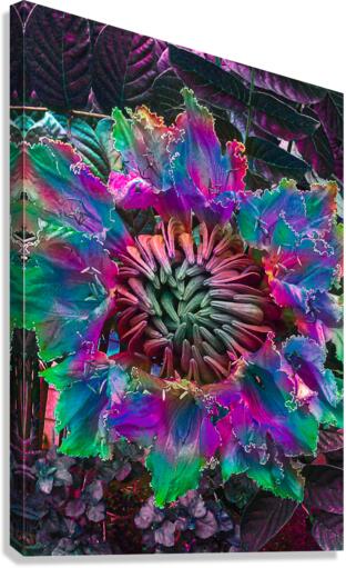Locus Flower Trap Canvas Print