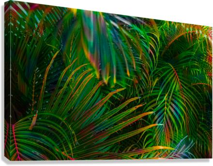 Prong Highlights Canvas Print