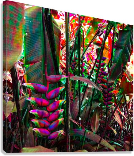 Crowded Roots Canvas Print