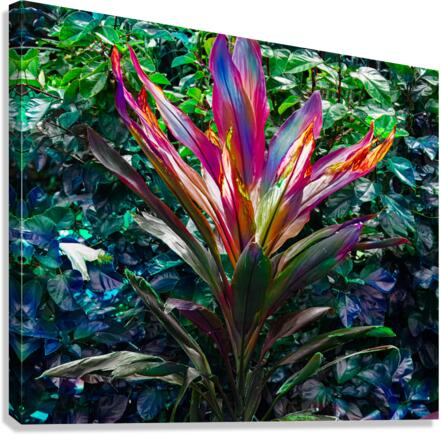 Cold Tea Leaf Terrain Canvas Print
