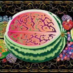 FRUIT TRAY 