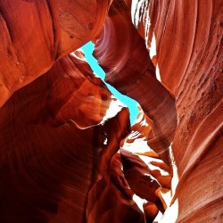 Red Orange Glyphs