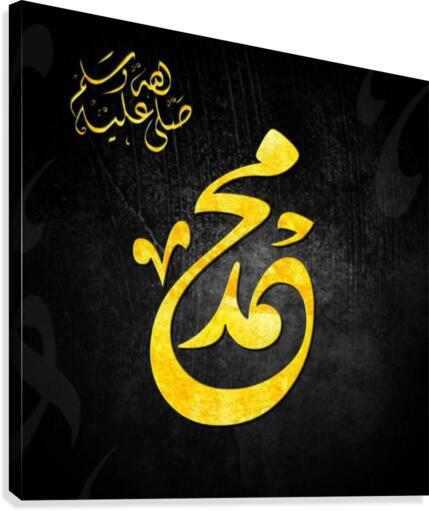gr222 Canvas Print