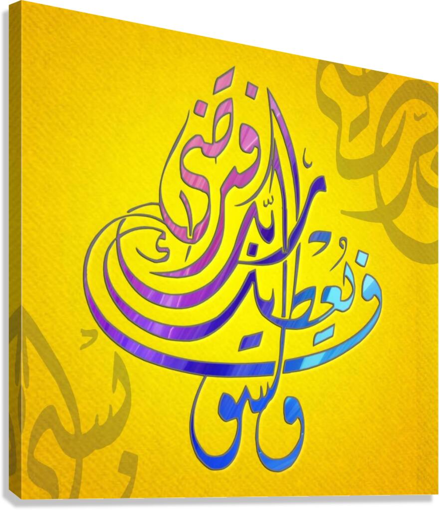 dfd Canvas Print