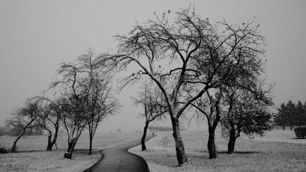 Premiere neige by CEDANSBOITE