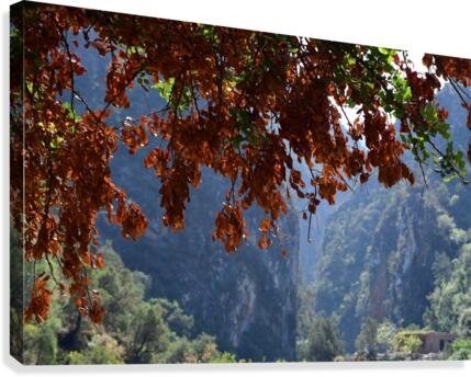 Akchour Canvas Print