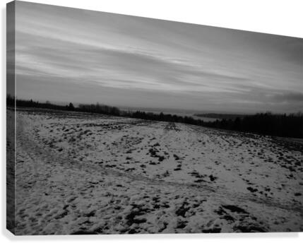 Mi-saison Canvas Print