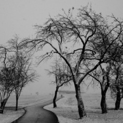 Premiere neige