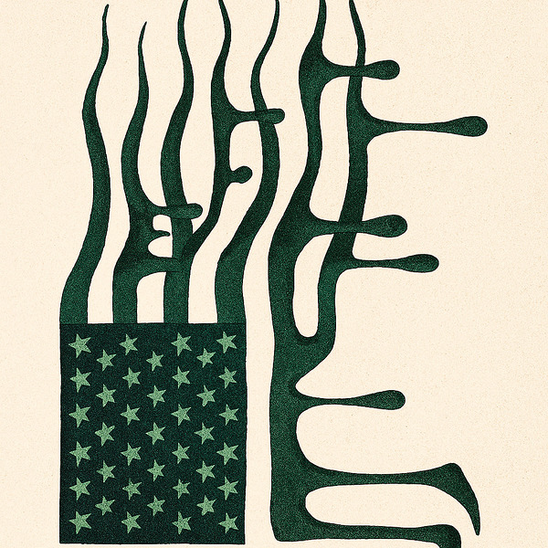 AmericanFlag Print