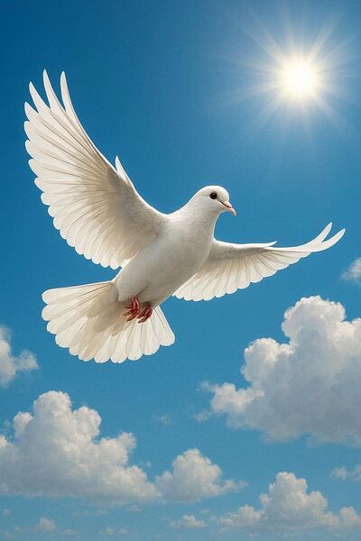 Dove One Print