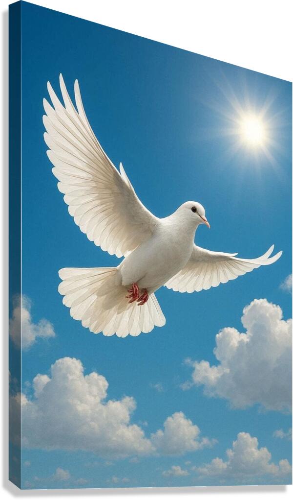 Dove One Canvas Print