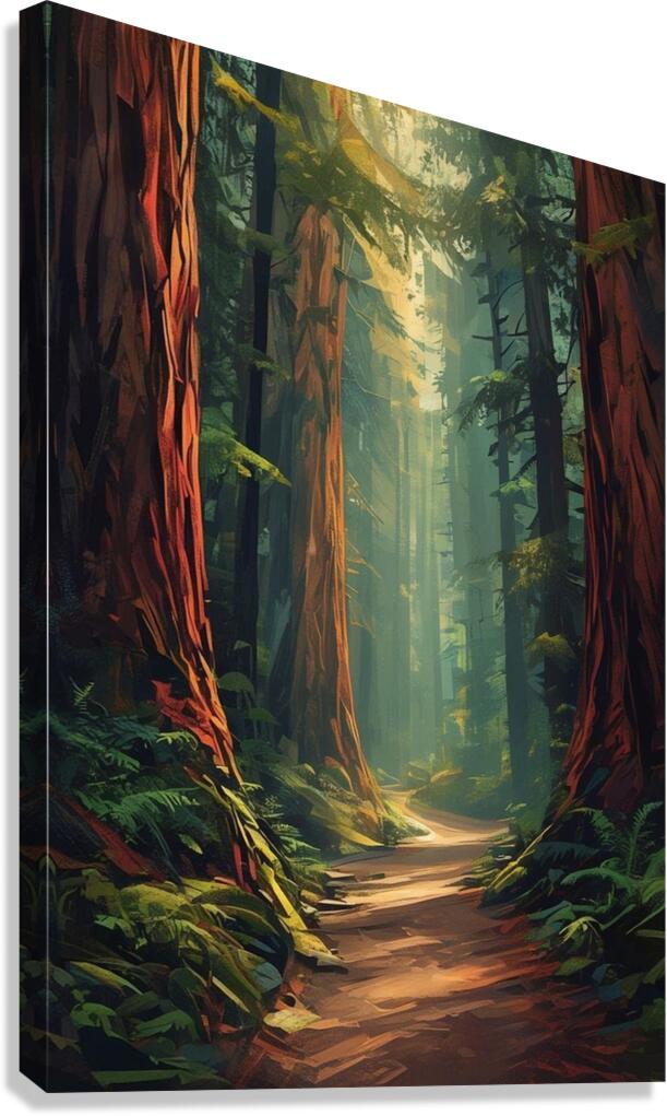 Redwoods Canvas Print