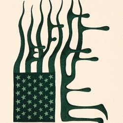 AmericanFlag