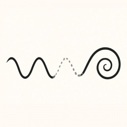 Wave Function