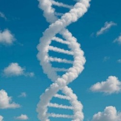 DNA IN SKY