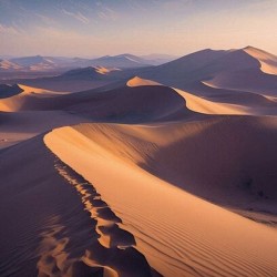 Sahara