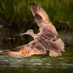 IMG 8159 1