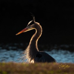 IMG 8752