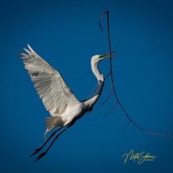 IMG 9673