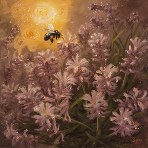 Morning Symphony in Lavender