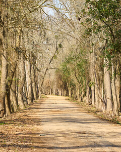 Augusta Canal Trail   Augusta GA SA105997