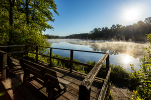 Boyd Pond Park   Aiken SC 6266