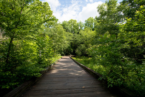 Grovetown Trails at Euchee Creek   Columbia Count 1675603281.095