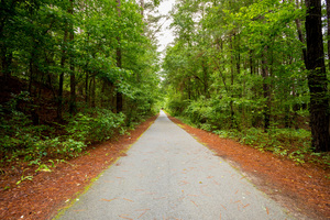 Grovetown Trails at Euchee Creek   Columbia Count 1675603283.7846