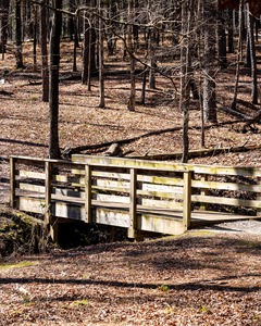 Mistletoe State Park   Appling GA 4708
