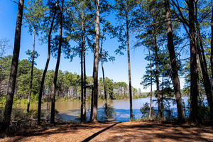 Mistletoe State Park   Appling GA 4730