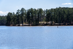Mistletoe State Park   Appling GA 4736