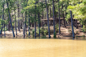 Mistletoe State Park   Appling GA 4741