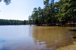 Mistletoe State Park   Appling GA 4749