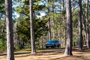 Mistletoe State Park   Appling GA 4752
