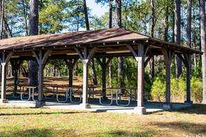 Mistletoe State Park   Appling GA 4754