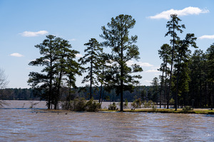 Mistletoe State Park   Appling GA 4798