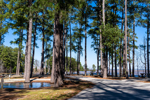Mistletoe State Park   Appling GA 4802