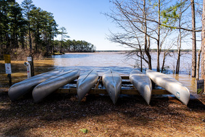 Mistletoe State Park   Appling GA 4820