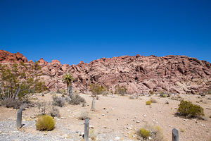 Red Rock Canyon   Nevada Canon 8728