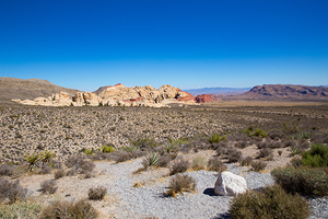 Red Rock Canyon   Nevada Canon 8742