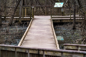 Reed Creek Nature Park   Martinez GA 0717