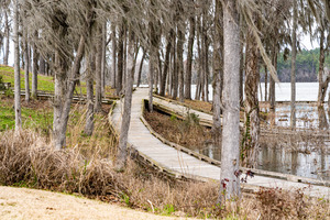 River Island   Evans GA 1208