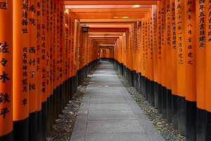 Fushimi Inari Shrine   Kyoto Japan A6401920